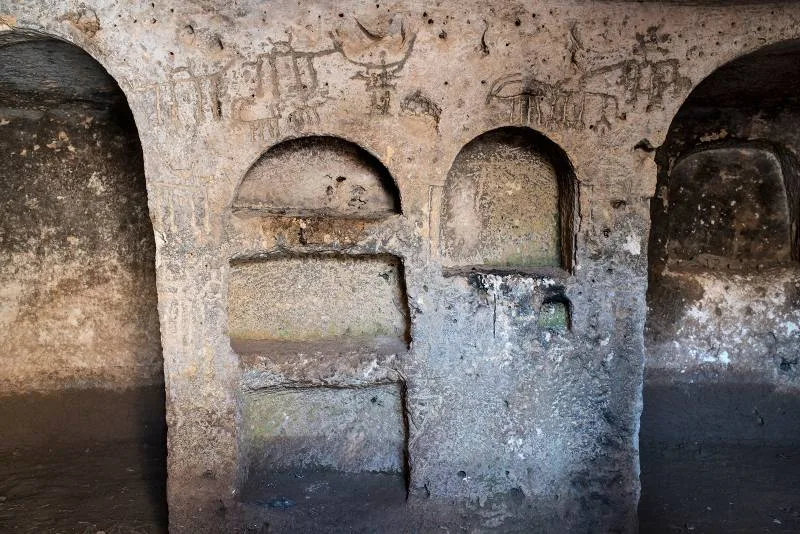 ŞUAYB ŞEHRİ