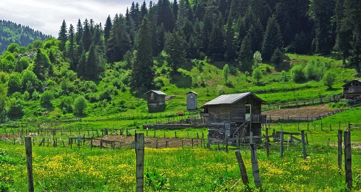ULUYAYLA