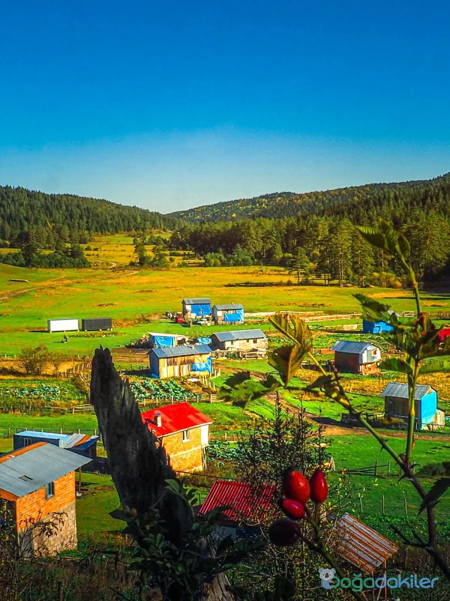 ULUYAYLA