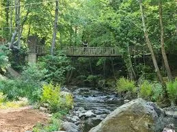 Yalova Kent Ormanı