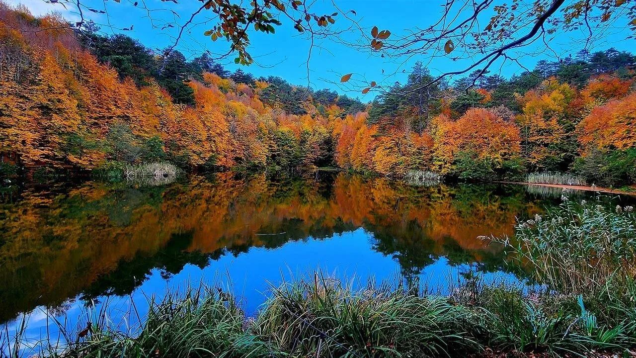 Yalova Kent Ormanı
