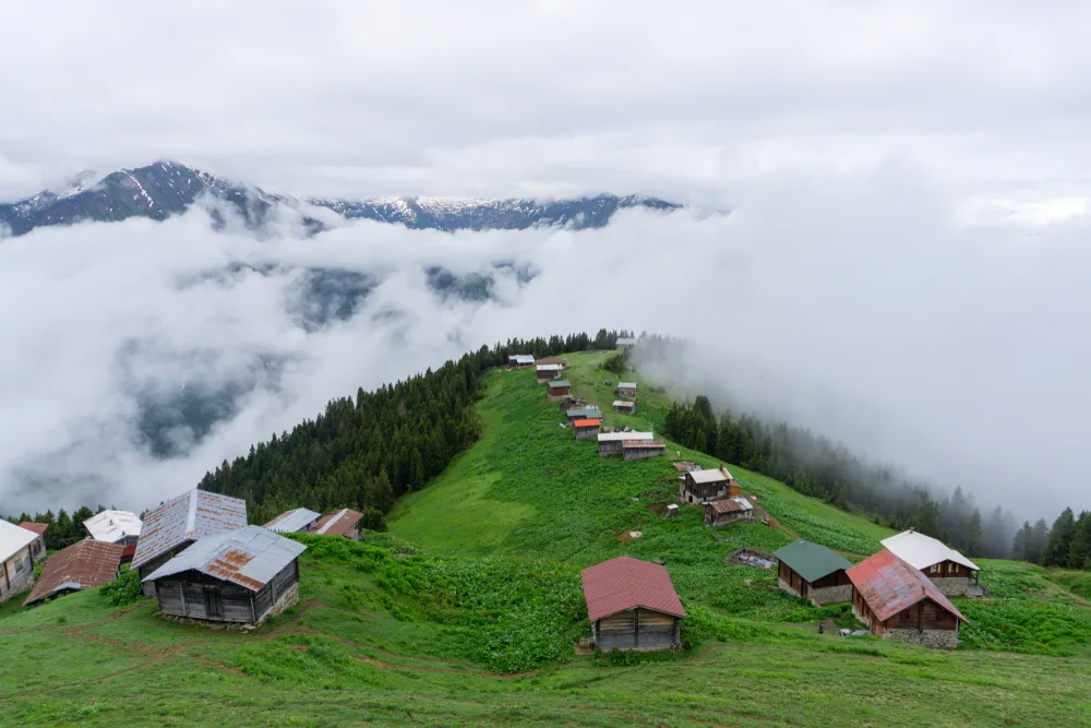 Ayder Yaylası
