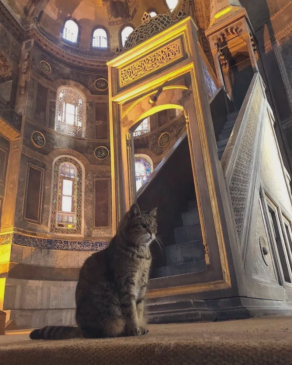 AYASOFYA CAMİİ